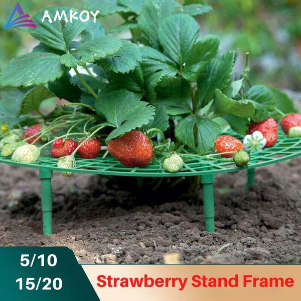 Planet Gates 200367155 Strawberry Stand Frame Holder 5/10/15/20 Balcony Planting Rack Fruit Support Plant Flower Climbing Vine Pillar Gardening Stand