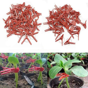 Planet Gates 200367155 Watermelon Garden Plant Support Round Mouth Cucumber Clips 50pcs Plastic Clips Melon Graft Clips Flat Mouth