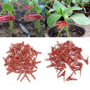 Planet Gates 200367155 Watermelon Garden Plant Support Round Mouth Cucumber Clips 50pcs Plastic Clips Melon Graft Clips Flat Mouth