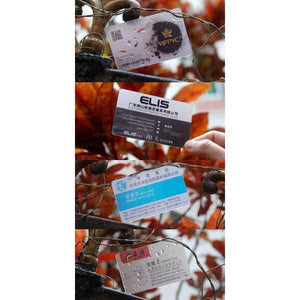 Planet Gates 200pcs/lot Directly Factory Production  custom Transparent PVC visit cards Customized clear Business Card printing  free Design