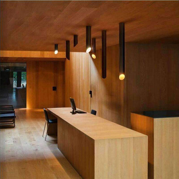 Planet Gates 2017 New Black/White Cylinder Aluminum LED Ceiling Lamp Exhibition Office Dome Light Commercial Brief Light