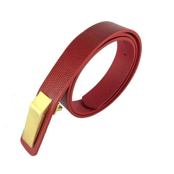 Planet Gates 2017 new Korean version of the simple simple rectangular metal PU leather women's thin belt leisure needle buckle belt female