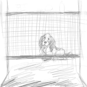 Planet Gates 2018 Magic-Gate Portable Folding Safe Guard Indoor and Outdoor Protection Safety Gate Extra Wide To Fit A Variety Of Openning