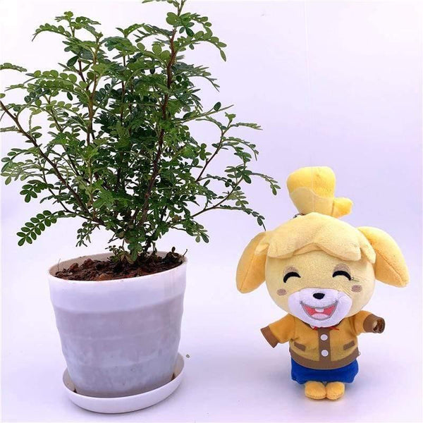 20cm 28cm Animal Crossing Plush Toy Cartoon Raymond Free Give Away 1pcs Amiibo Card Jingjiang Doll KK Isabelle Plush Toys