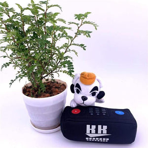 20cm 28cm Animal Crossing Plush Toy Cartoon Raymond Free Give Away 1pcs Amiibo Card Jingjiang Doll KK Isabelle Plush Toys