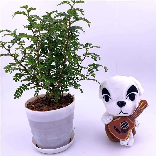 20cm 28cm Animal Crossing Plush Toy Cartoon Raymond Free Give Away 1pcs Amiibo Card Jingjiang Doll KK Isabelle Plush Toys