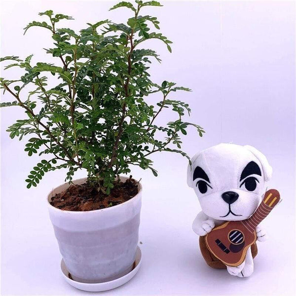 20cm 28cm Animal Crossing Plush Toy Cartoon Raymond Free Give Away 1pcs Amiibo Card Stitches Doll KK Isabelle Plush Toys