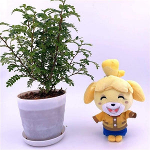 Original Animal Crossing Plush Cartoon Raymond KK Cartoon Figure Doll Soft Stuffed Give Away Amiibo Card Children Gift Toys