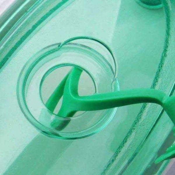 Planet Gates 220V Household Appliances Vertical Steamer Garment Steamers with Steam Irons Brushes Iron for Ironing Clothes for Home