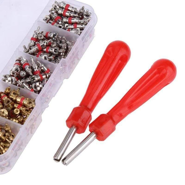 242pcs Car A/C Air Conditioning R134a Valve Cores+Remover Tool Kit For Toyota Honda Lexus Nissan Hyundai General Motors BMW Ford (Gold)