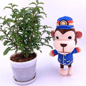 20cm 28cm Animal Crossing Plush Toy Cartoon Raymond Free Give Away 1pcs Amiibo Card Jingjiang Doll KK Isabelle Plush Toys