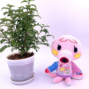 20cm 28cm Animal Crossing Plush Toy Cartoon Raymond Free Give Away 1pcs Amiibo Card Stitches Doll KK Isabelle Plush Toys