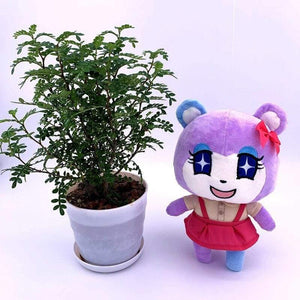 20cm 28cm Animal Crossing Plush Toy Cartoon Raymond Free Give Away 1pcs Amiibo Card Stitches Doll KK Isabelle Plush Toys