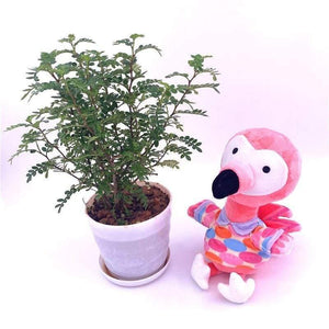 Original Animal Crossing Plush Cartoon Raymond KK Cartoon Figure Doll Soft Stuffed Give Away Amiibo Card Children Gift Toys