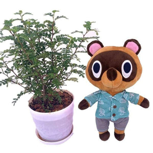 20cm 28cm Animal Crossing Plush Toy Cartoon Raymond Free Give Away 1pcs Amiibo Card Stitches Doll KK Isabelle Plush Toys