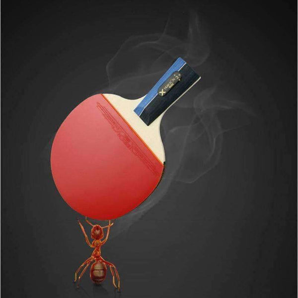 Planet Gates 2Pcs/Set Classic 5 Ply Solid Wood Table Tennis Rackets Double Face Pimples-in Rubber Table Tennis Bats for Teenagers