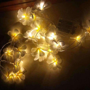 Planet Gates 3 meter 20 leds Creative DIY frangipani LED String Lights, AA Battery floral holiday lighting, Event Party garland decoration,Bedroom decoration