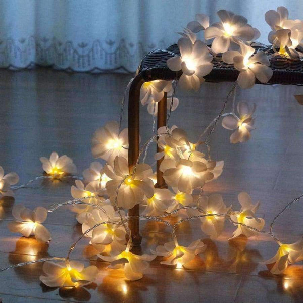 Planet Gates 3 meter 20 leds Creative DIY frangipani LED String Lights, AA Battery floral holiday lighting, Event Party garland decoration,Bedroom decoration