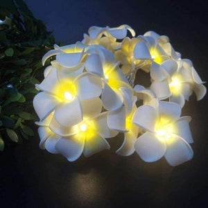 Planet Gates 3 meter 20 leds Handmade frangipani LED String Lights, AA battery PE floral holiday lighting,Event Party garland decoration,flower arrangement