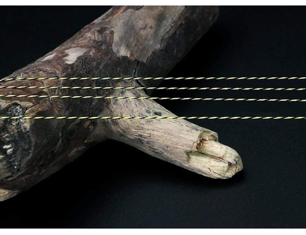 Planet Gates 300m PE Braided Fishing Line 25 30 40 50 80LB Super Strong Multifilament Fishing Line For Carp Fishing Tackle