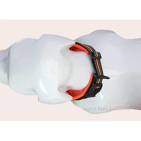 Planet Gates 3M Reflective Dog Collars Adjustable Pet Cat&Dog Collar Outdoor Trainning Soft Air Mesh Padded Brand Pet Product XXS-3XL