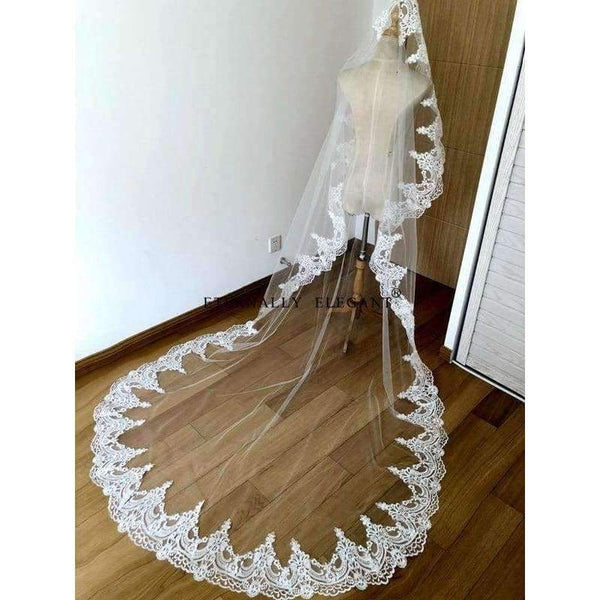 Planet Gates 3M White/Ivory Beautiful Cathedral Length Lace Edge Wedding Bridal Veil With Comb Wedding Accessories MD3084