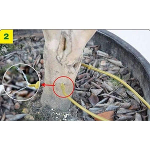 Planet Gates 3Pcs/set 1500ml Home Flower Plant Drip Irrigation System Infusion Bag Tree Infusion Kits Micro Irrigation Garden Supply