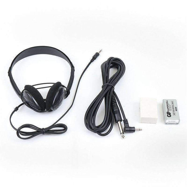 Planet Gates 4/4 Bilateral Electric Violin Fiddle Stringed Instrument Basswood with Fittings Cable Headphone Case for Music Lovers Beginners