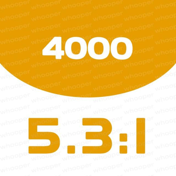 Planet Gates 4000 VANFORD 500 1000 C2000S C3000 4000 5000XG  Series 7+1BB Low and High Gear Ratio Saltwater Spinning Fishing Reel