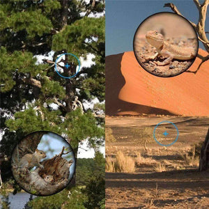 Planet Gates 40X60 Day & Night Vision Dual-Focus HD Optics Zoom Monocular Telescope Waterproof Super Clear for Outdoor Hunting