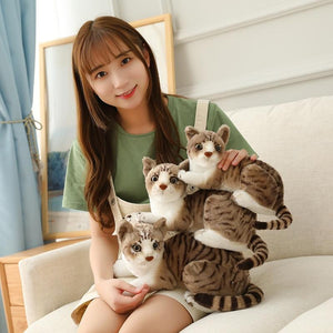 Planet Gates 45 CM Lifelike American Shorthai Kitty Siamese Cat Plush Toys Cute Stuffed Simulation Animal Doll Children Home Decor Baby Gift