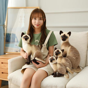 Planet Gates 45 CM Lifelike American Shorthai Kitty Siamese Cat Plush Toys Cute Stuffed Simulation Animal Doll Children Home Decor Baby Gift