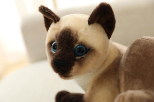 Planet Gates 45 CM Lifelike American Shorthai Kitty Siamese Cat Plush Toys Cute Stuffed Simulation Animal Doll Children Home Decor Baby Gift
