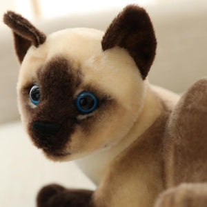 Planet Gates 45 CM Lifelike American Shorthai Kitty Siamese Cat Plush Toys Cute Stuffed Simulation Animal Doll Children Home Decor Baby Gift
