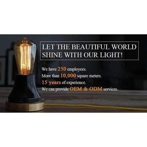 Planet Gates 4pcs Ampoule Vintage Edison Bulb 40W E27 220V Retro Lamp Incandescent Light Bulbs ST64 Filament Clear Glass Bombillas Lampe