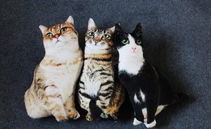 Planet Gates 50cm Cute Lifelike 3D Cat Plush Toys Stuffed Soft Animal Doll Simulation Sleep Pillow Sofa Cushion Cartoon Doll Home Decor Gift