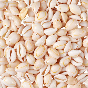 Planet Gates 50pcs Natural Shell Beads White for Women Ladies fashion jewelry Bracelet Necklace Earring DIY Making Gift for Friends f85