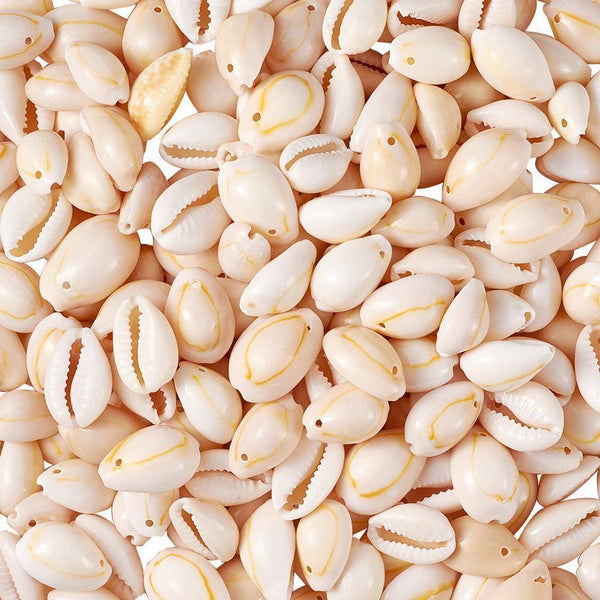 Planet Gates 50pcs Natural Shell Beads White for Women Ladies fashion jewelry Bracelet Necklace Earring DIY Making Gift for Friends f85