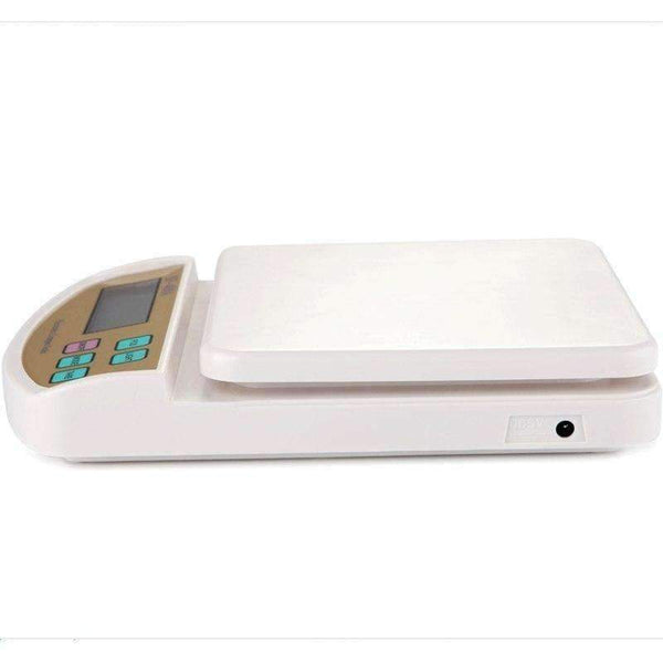 Planet Gates 5kg 0.1g Digital Kitchen Scale Big Food Diet Lab Weight Balance LCD Electronic Bench Floor Compact Scales With Blue Backlit