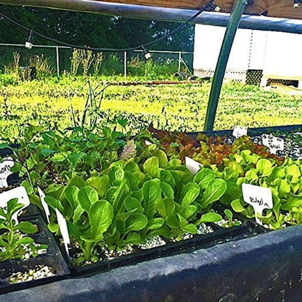 Planet Gates 5Pcs 72-Cell Nursery Pots Tray Seed Planting Insert Plug Tray Plant Seeds Grow Box garden supply - Black