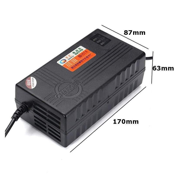 Planet Gates 60V 20AH Battery Charger For Scooter Wheel Electric Bicycle E-bike Lead Acid Battery