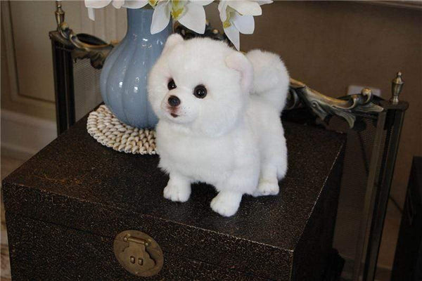 Planet Gates 9 Kinds Dog Simulation Bichon Frise Plush Dog Toy Super Cute Likelife Corgi Dog Doll Stuffed Animal Maltese Dog Puppy Pets Toys