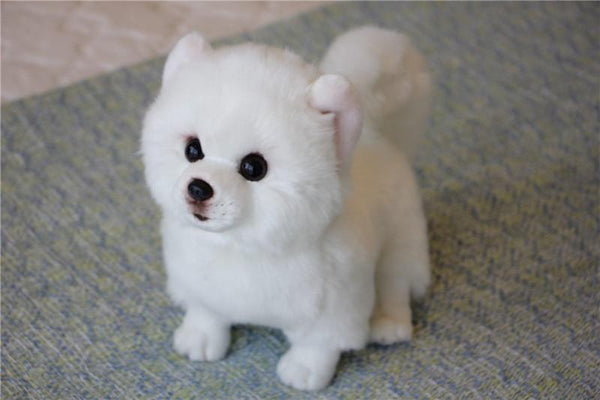 Planet Gates 9 Kinds Dog Simulation Bichon Frise Plush Dog Toy Super Cute Likelife Corgi Dog Doll Stuffed Animal Maltese Dog Puppy Pets Toys
