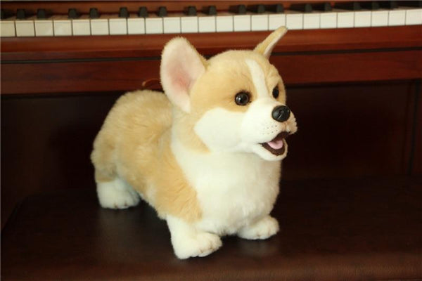 Planet Gates 9 Kinds Dog Simulation Bichon Frise Plush Dog Toy Super Cute Likelife Corgi Dog Doll Stuffed Animal Maltese Dog Puppy Pets Toys