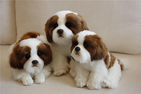 Planet Gates 9 Kinds Dog Simulation Bichon Frise Plush Dog Toy Super Cute Likelife Corgi Dog Doll Stuffed Animal Maltese Dog Puppy Pets Toys