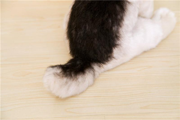 Planet Gates 9 Kinds Dog Simulation Bichon Frise Plush Dog Toy Super Cute Likelife Corgi Dog Doll Stuffed Animal Maltese Dog Puppy Pets Toys