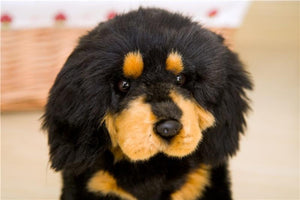 Planet Gates 9 Kinds Dog Simulation Bichon Frise Plush Dog Toy Super Cute Likelife Corgi Dog Doll Stuffed Animal Maltese Dog Puppy Pets Toys