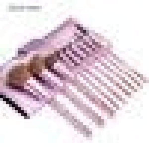 Planet Gates 9PCS MakeuP Brushes Makeup Brushes w/ Case ENZO KEN 10Pcs/9pcs/8Pcs Foundation Blush Brush Powder Blending Makeup Brushes Set Professional