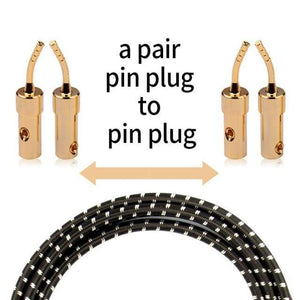 Planet Gates a pair-pin to pin / 2m TODN HIFI speaker audio cable High-end stereo Amplifier cable High purity oxygen-free copper banana Gold-plated plug a pair
