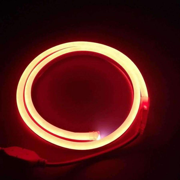 Planet Gates AC220V 120LED 2835 LED Neon Flex Strip Rope Lights for Home Garden Signs and Letters IP68 With Adapter